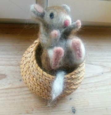 Img 20250227 wa00002