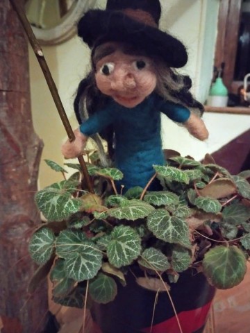 Img 20250304 wa00132